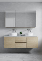 Modern Nova Vanity with mirrors